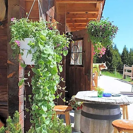Simal Alm Jokercard Partner Inn Saalbach-Hinterglemm