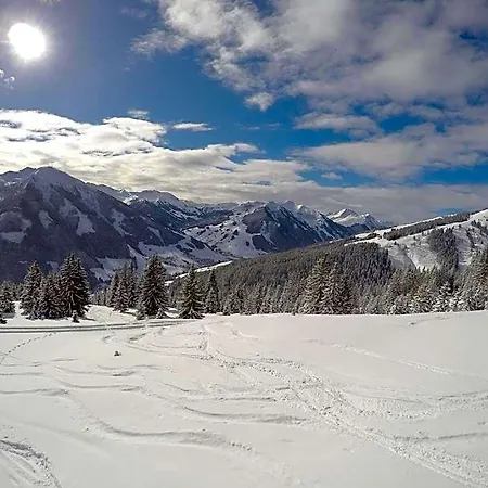 Inn Simal Alm Jokercard Partner Saalbach-Hinterglemm