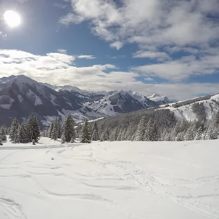 Simal Alm Saalbach Hinterglemm