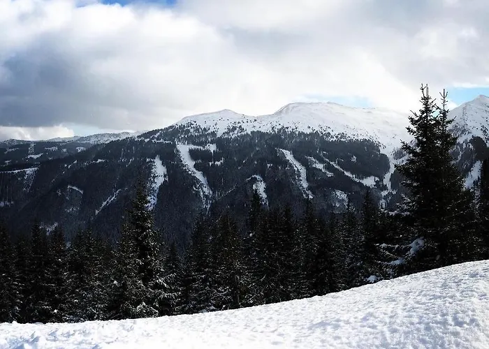 Simal Alm Gasthof Saalbach-Hinterglemm