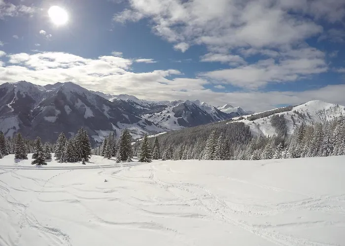 Simal Alm Saalbach-Hinterglemm